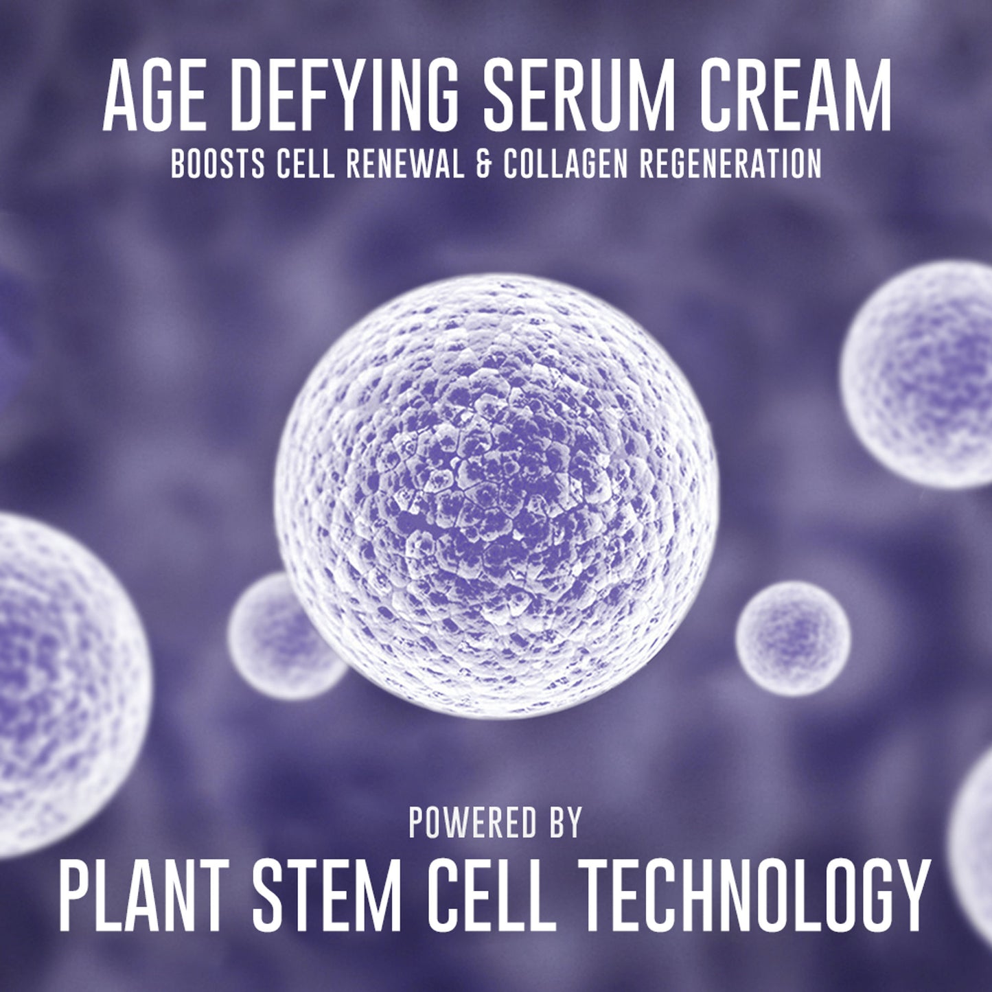 Dermafique Age Defying Anti-Ageing Face Serum - PhytoCellTec & Rare Stem Cells