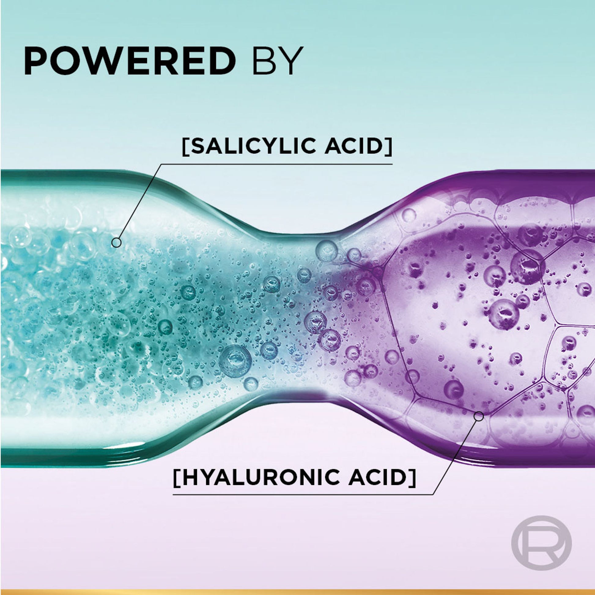 L’Oréal Paris Hyaluron Pure 72H Purifying Shampoo, For Oily Scalp & Dry Hair With Salicylic And Hyaluronic Acid