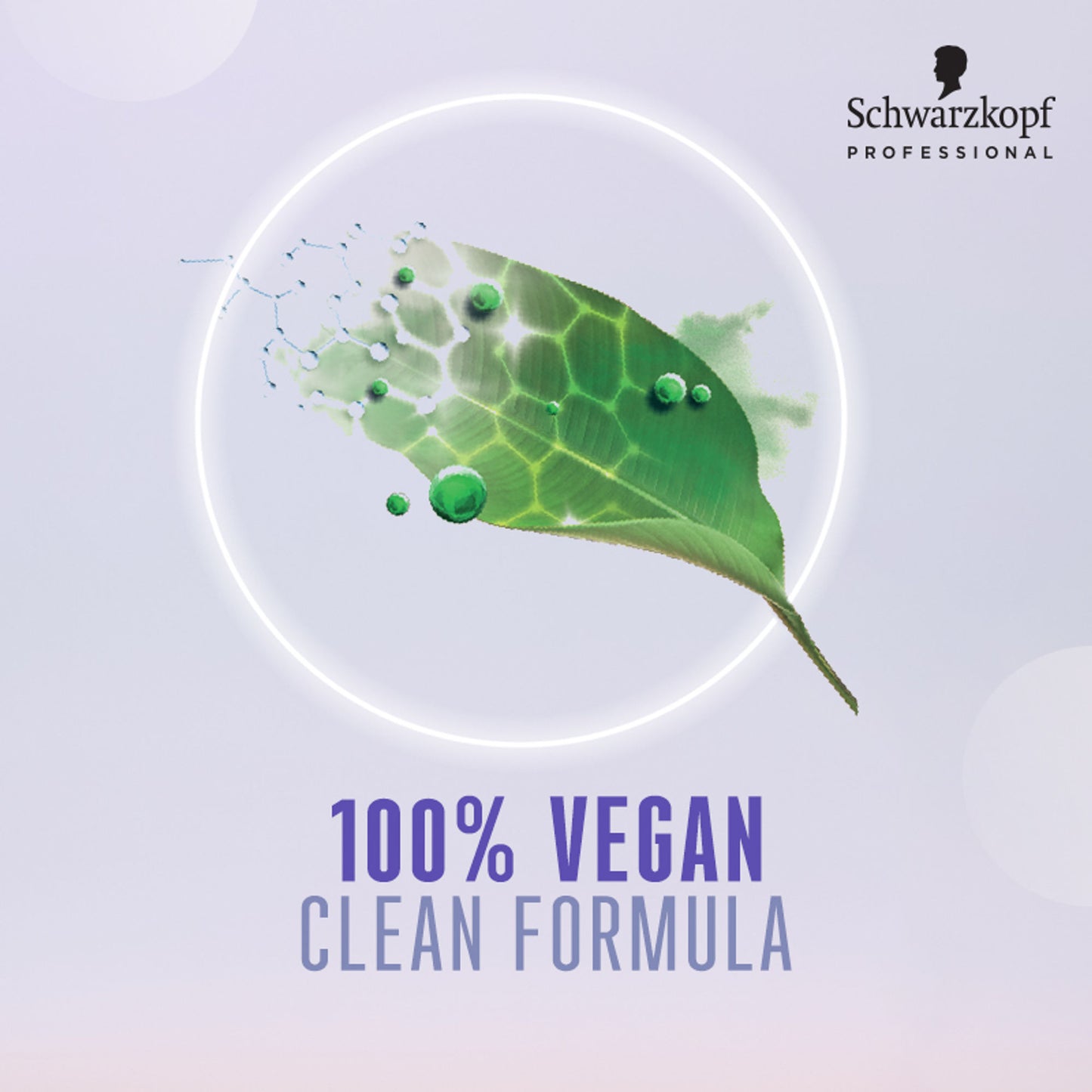 Schwarzkopf Professional Bonacure Anti-Dandruff Shampoo with Superberries & AHA