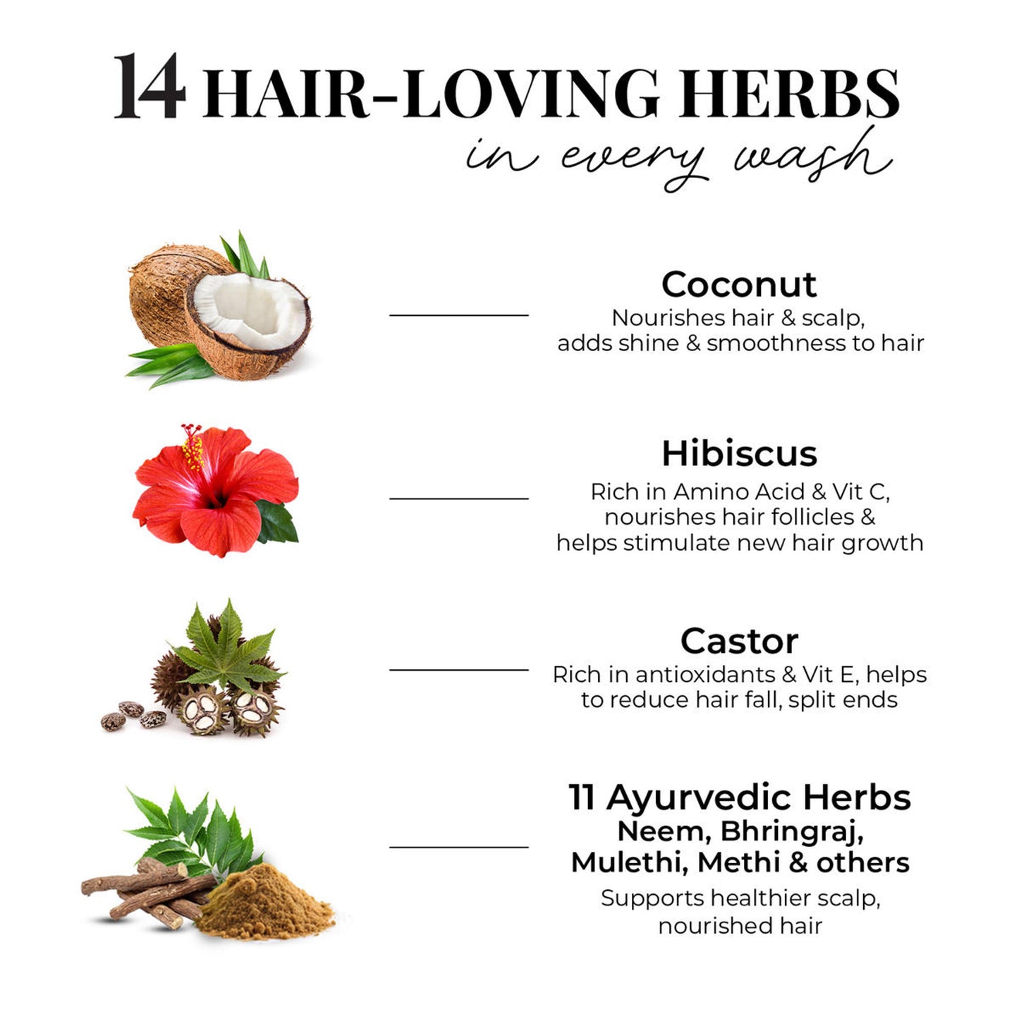 Just Herbs Castor & Black Onion Seed Shampoo