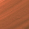 Caramel Nude - 007
