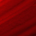 Autumn Spice-022