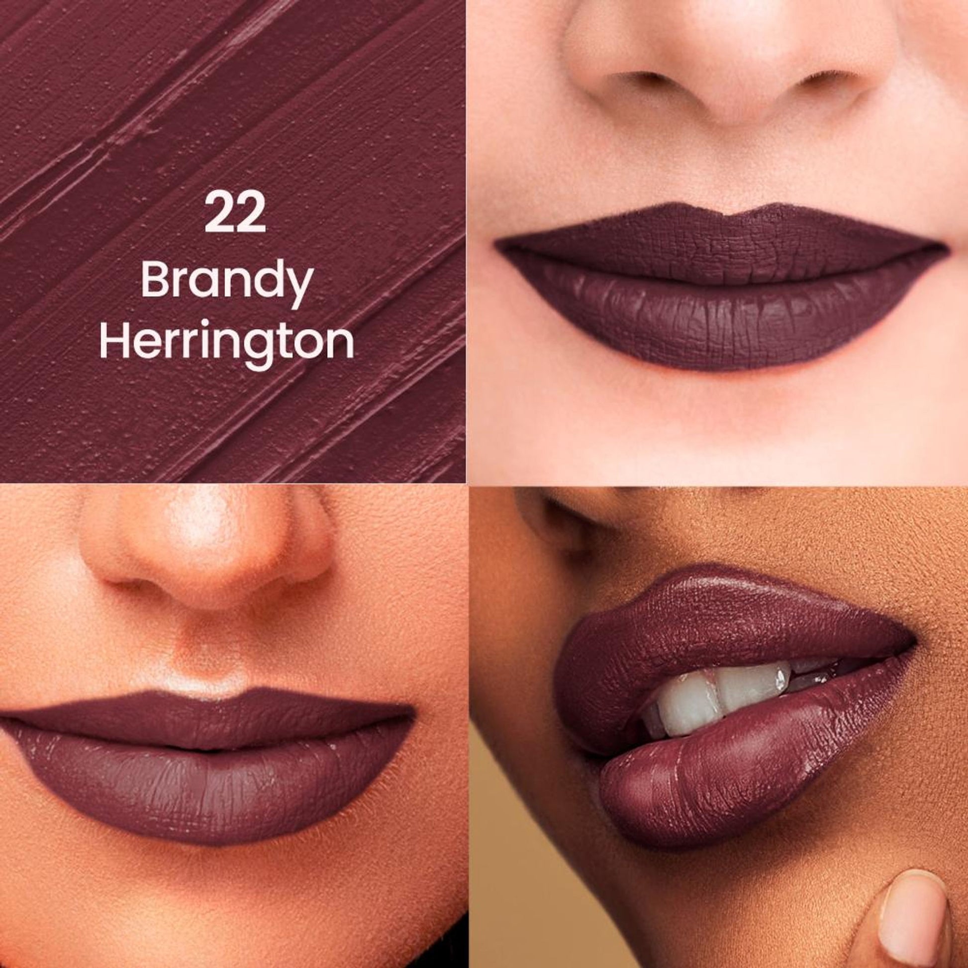 Swiss Beauty Non-Transfer Matte Lipstick - 22 Brandy Harrington