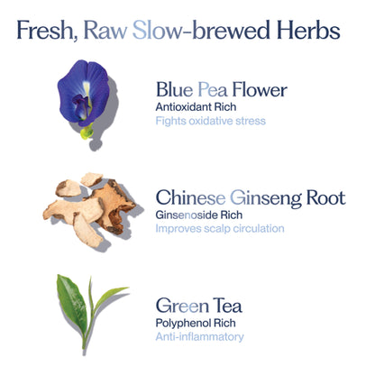 Sacred Grove Blue Pea Flower & Ginseng Root Shampoo For Strength & Shine