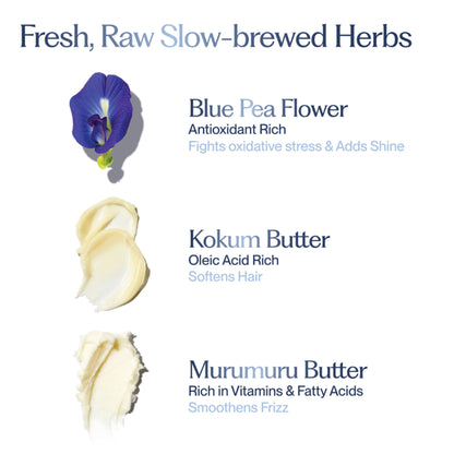 Sacred Grove Blue Pea & Kokum Butter Conditioner For Strength & Shine