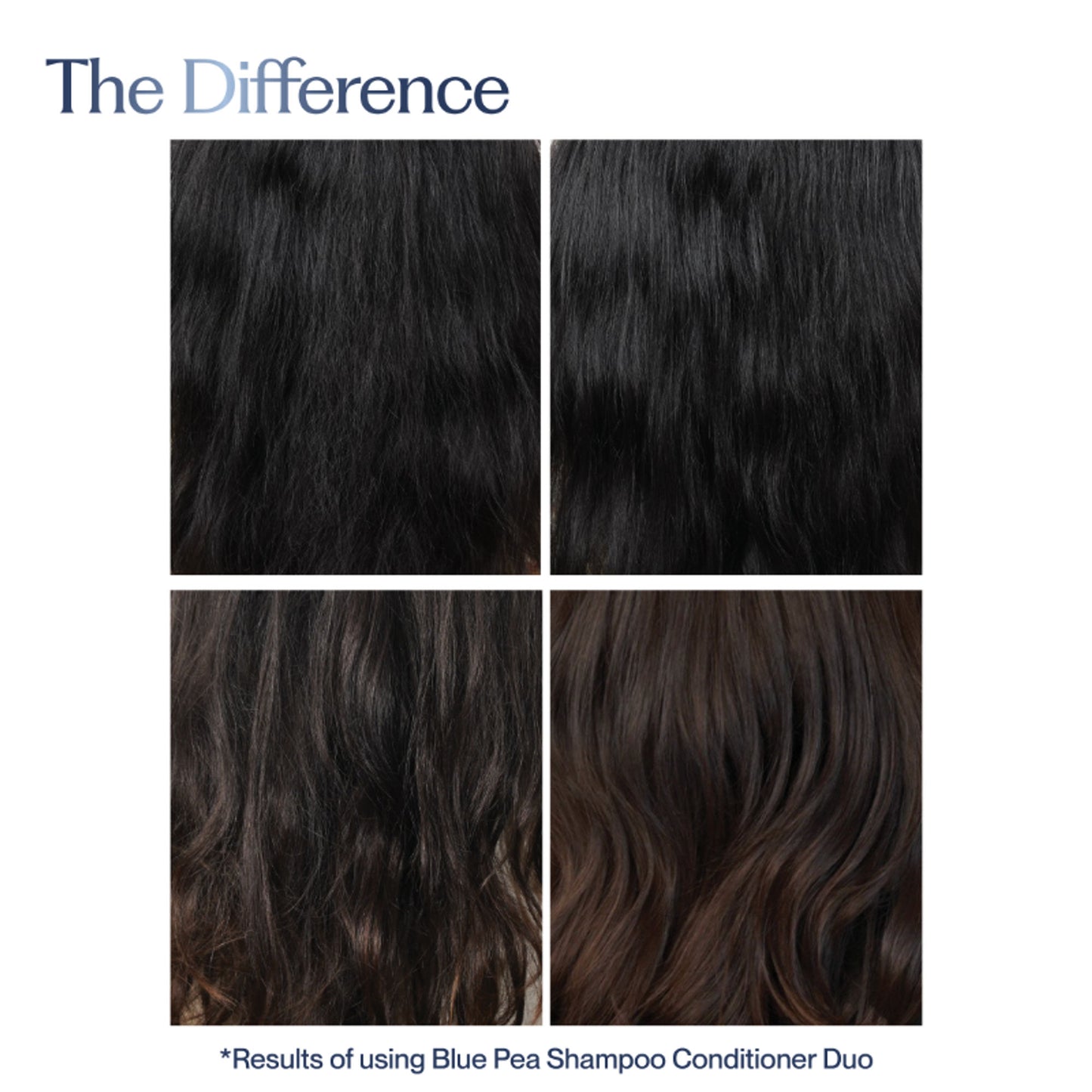Sacred Grove Blue Pea & Kokum Butter Conditioner For Strength & Shine