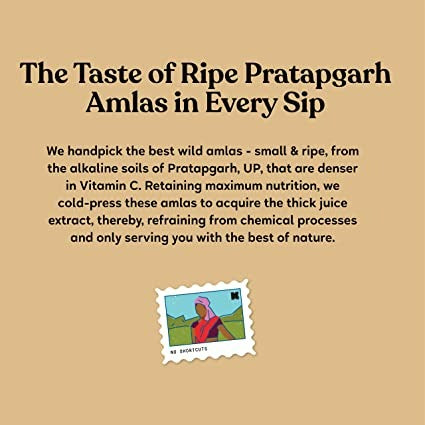 Kapiva Ayurveda Wild Amla Juice - Indyancart