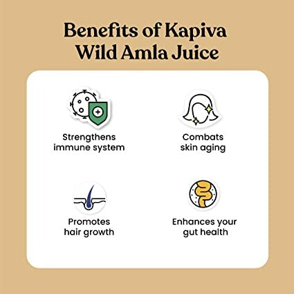 Kapiva Ayurveda Wild Amla Juice - Indyancart