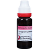 Dr. Reckeweg Syzygium J Mother Tincture Q