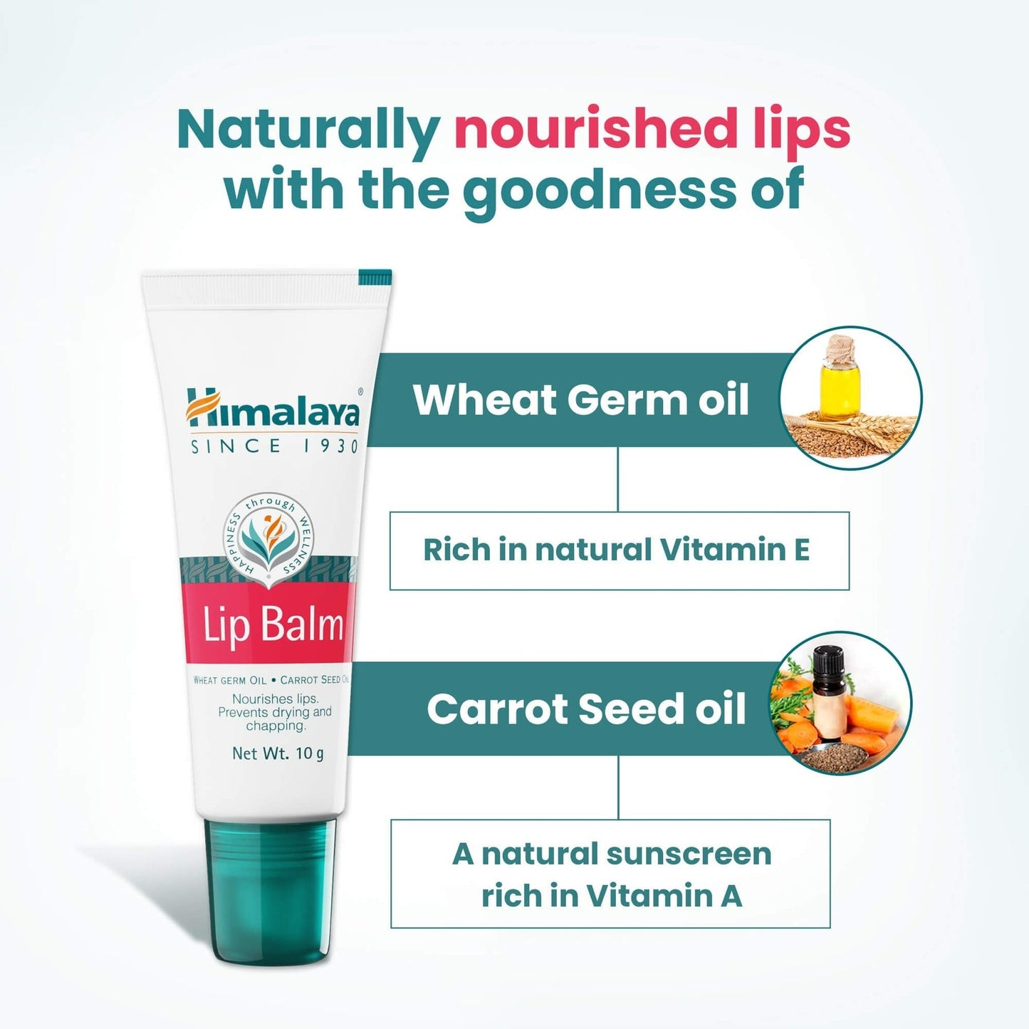 Himalaya Herbals Lip Balm - Indyancart
