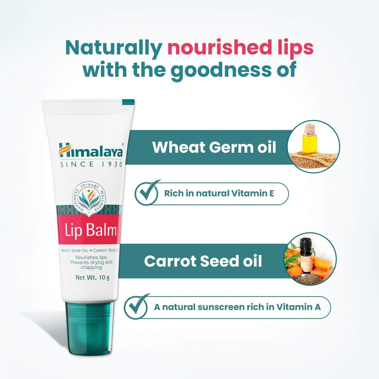 Himalaya Herbals Lip Balm - Indyancart