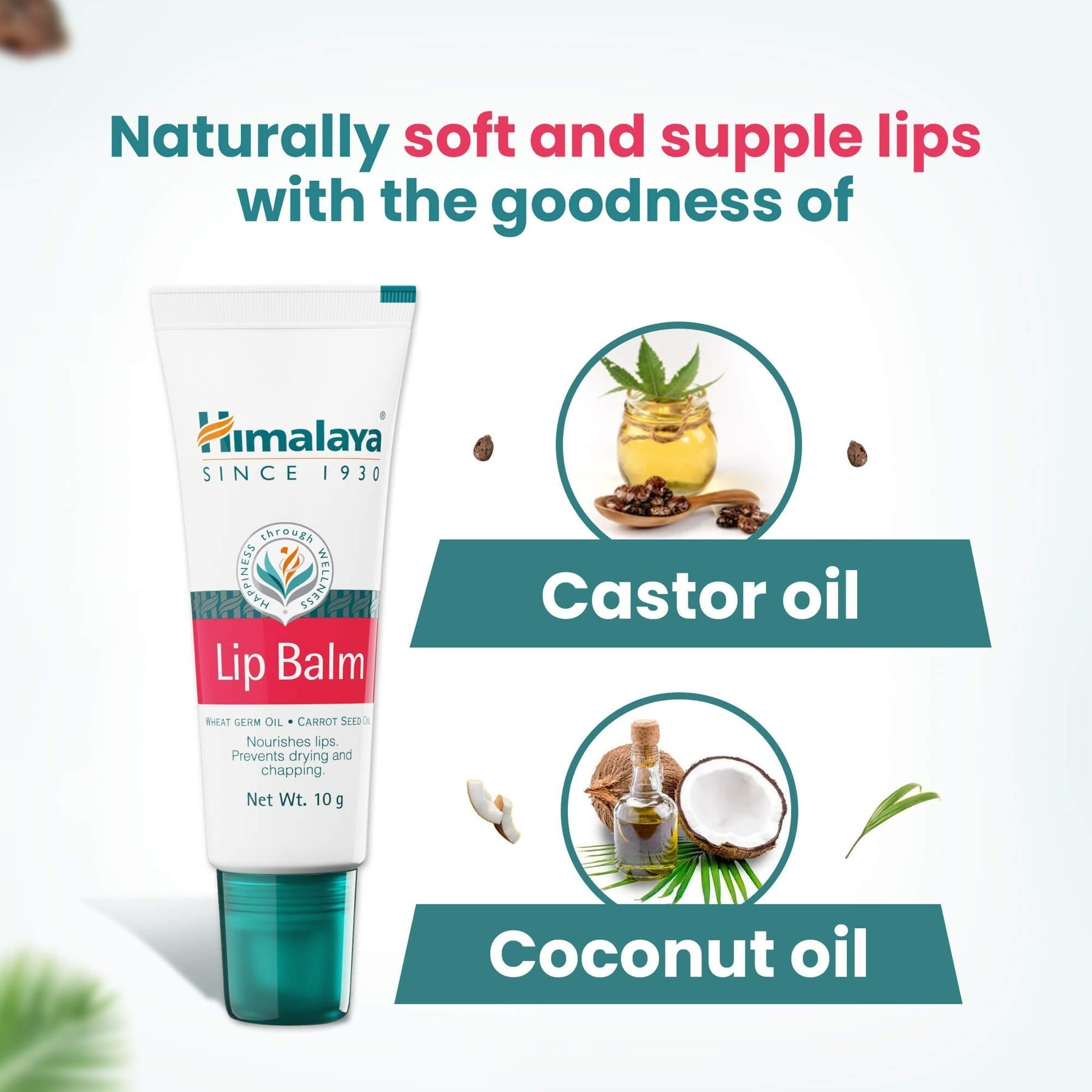 Himalaya Herbals Lip Balm - Indyancart