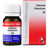 Dr. Reckeweg Calcarea Fluoricum Biochemic Tablets