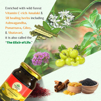 Organic India Organic Chyawanprash - Indyancart