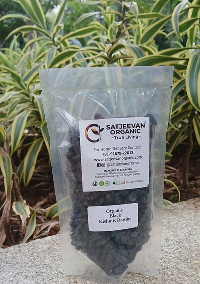 Satjeevan Organic Black Kishmis Raisins