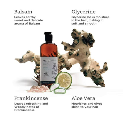 Kimirica Earth Shampoo - Indyancart