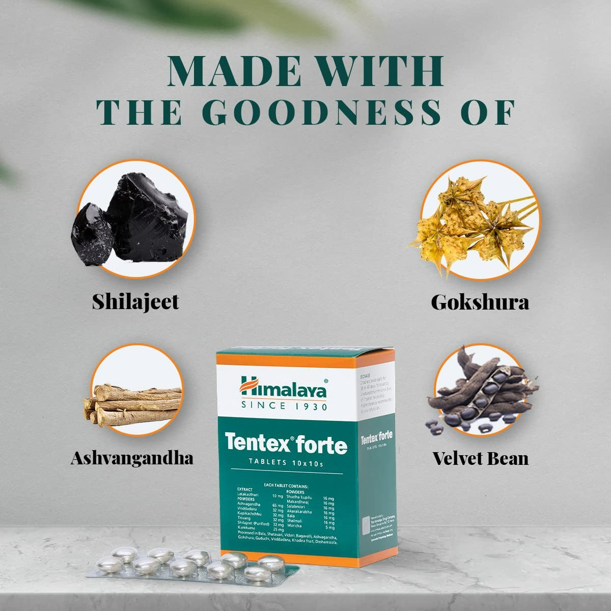 Himalaya Tentex Forte Tablets - 10 Tablets (Pack of 10) - Indyancart