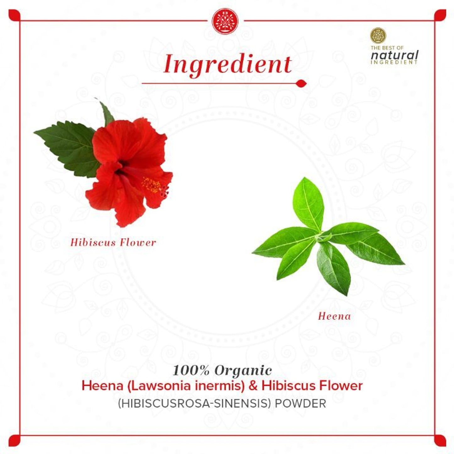 Khadi Natural Hibiscus Flower Organic Powder hair Condition