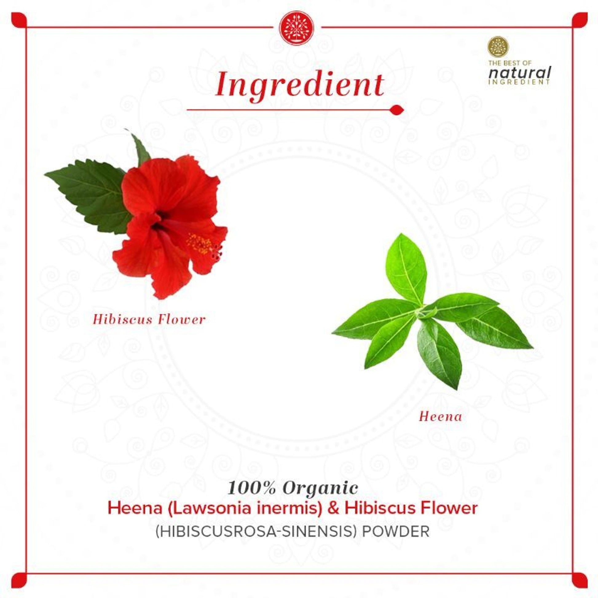 Khadi Natural Hibiscus Flower Organic Powder hair Condition