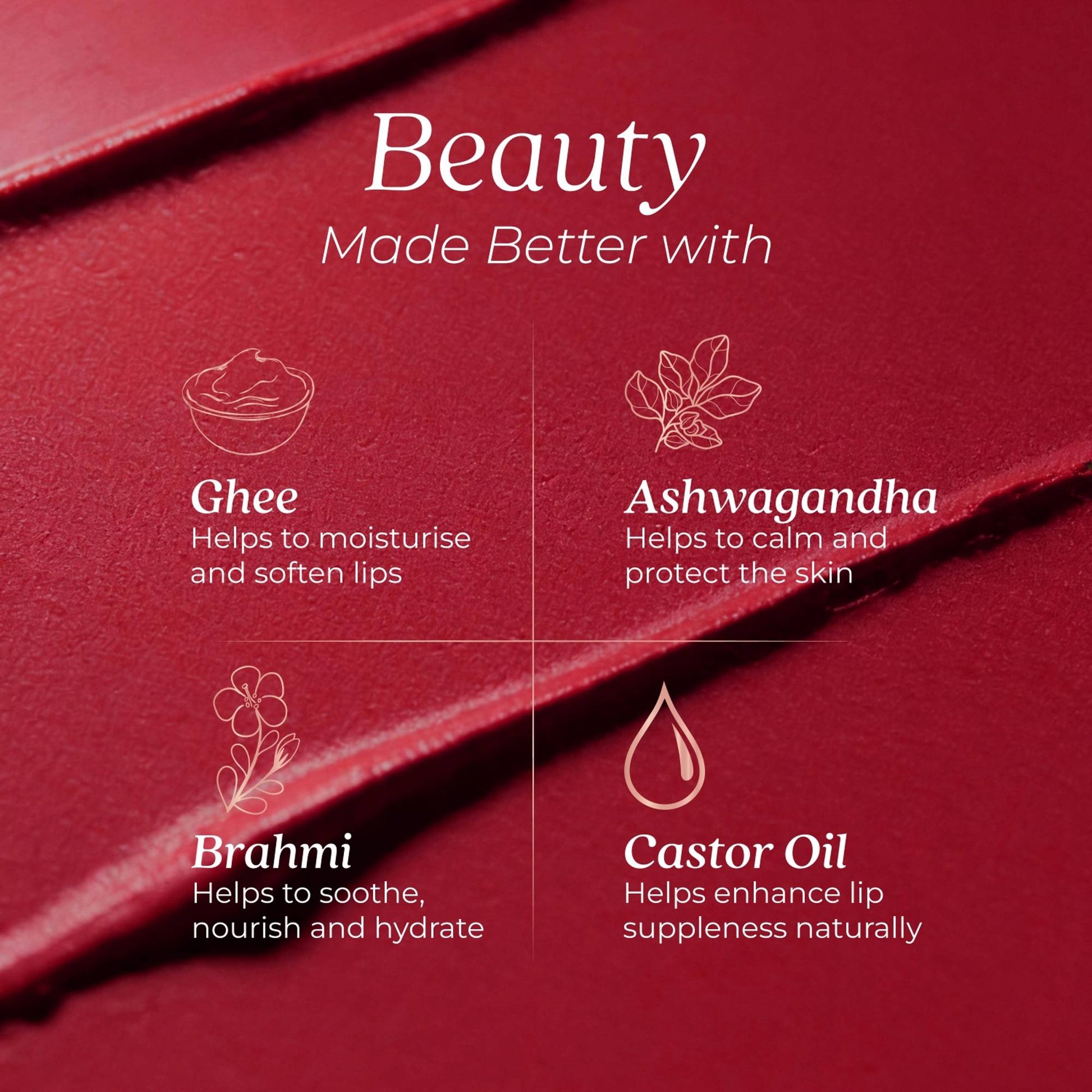 Just Herbs Herb-Enriched Matte Liquid Lipstick - Pack of 10