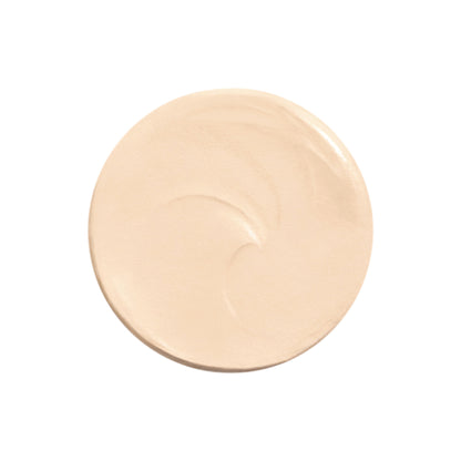 NARS Soft Matte Complete Concealer - Nougatine