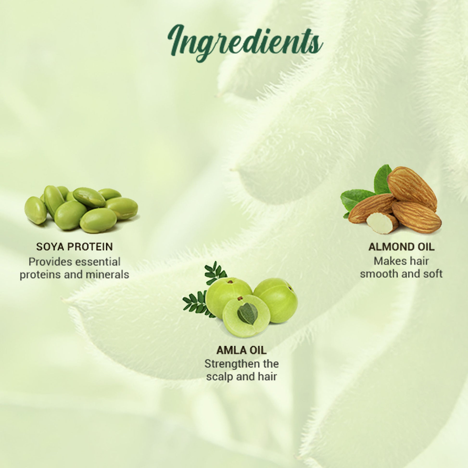 Biotique Bio Soya Protein Fresh Nourishing Shampoo