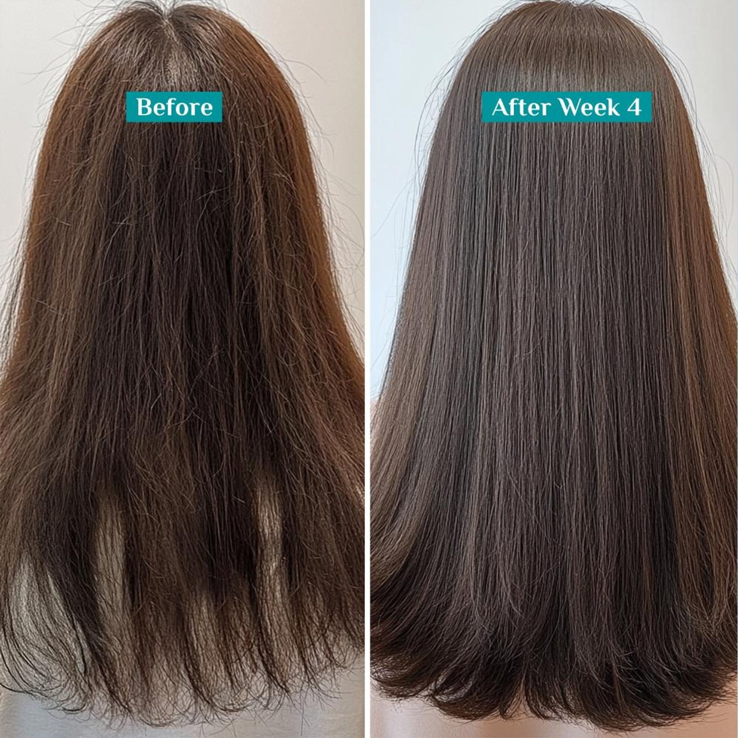 Pilgrim Spanish Rosemary & Biotin Anti Hairfall Control Shampoo Reduce Hairfall Upto 95% Strong Hair
