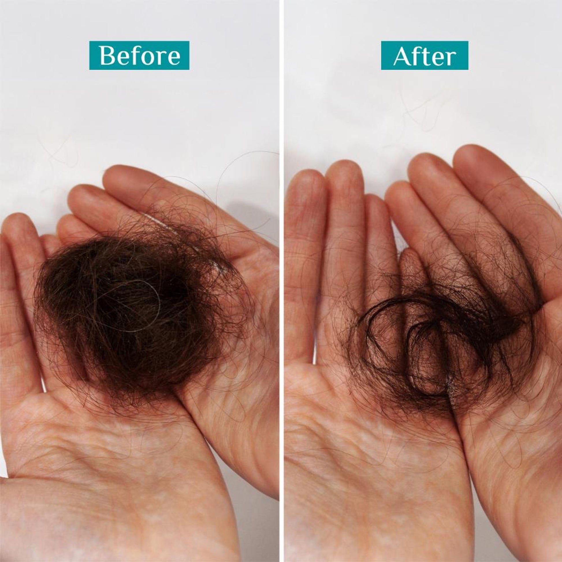 Pilgrim Spanish Rosemary & Biotin Anti Hairfall Control Shampoo Reduce Hairfall Upto 95% Strong Hair