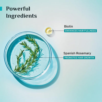 Pilgrim Spanish Rosemary & Biotin Anti Hairfall Control Shampoo Reduce Hairfall Upto 95% Strong Hair