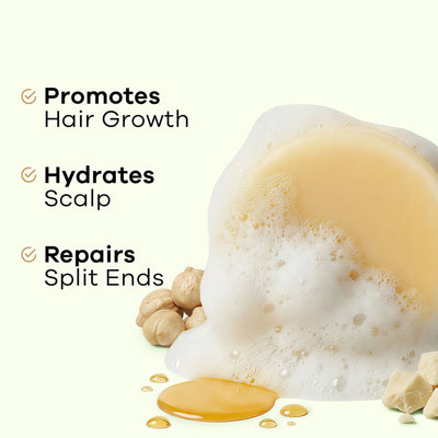 Earth Rhythm Tamanu, Kukui Nut & Camellia Oil Solid Conditioner Bar Cardboard, Hydrates Scalp