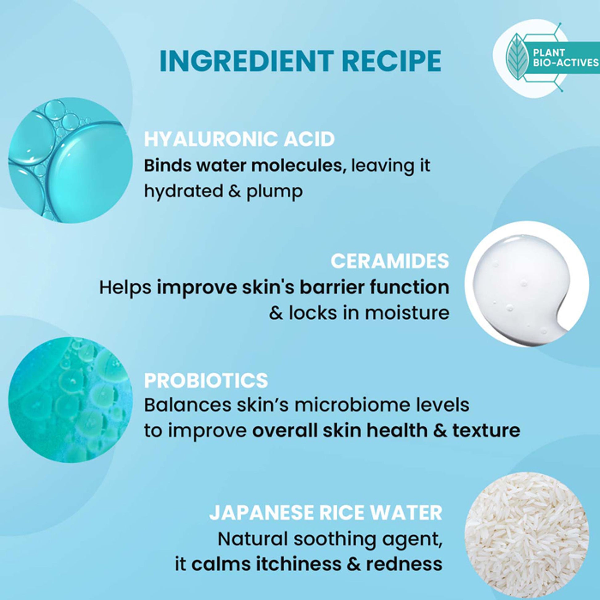 Dot & Key Blueberry Hydrate Barrier Repair Shower Gel, With Ceramide & Hyaluronic