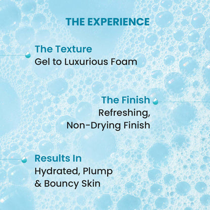 Dot & Key Blueberry Hydrate Barrier Repair Shower Gel, With Ceramide & Hyaluronic