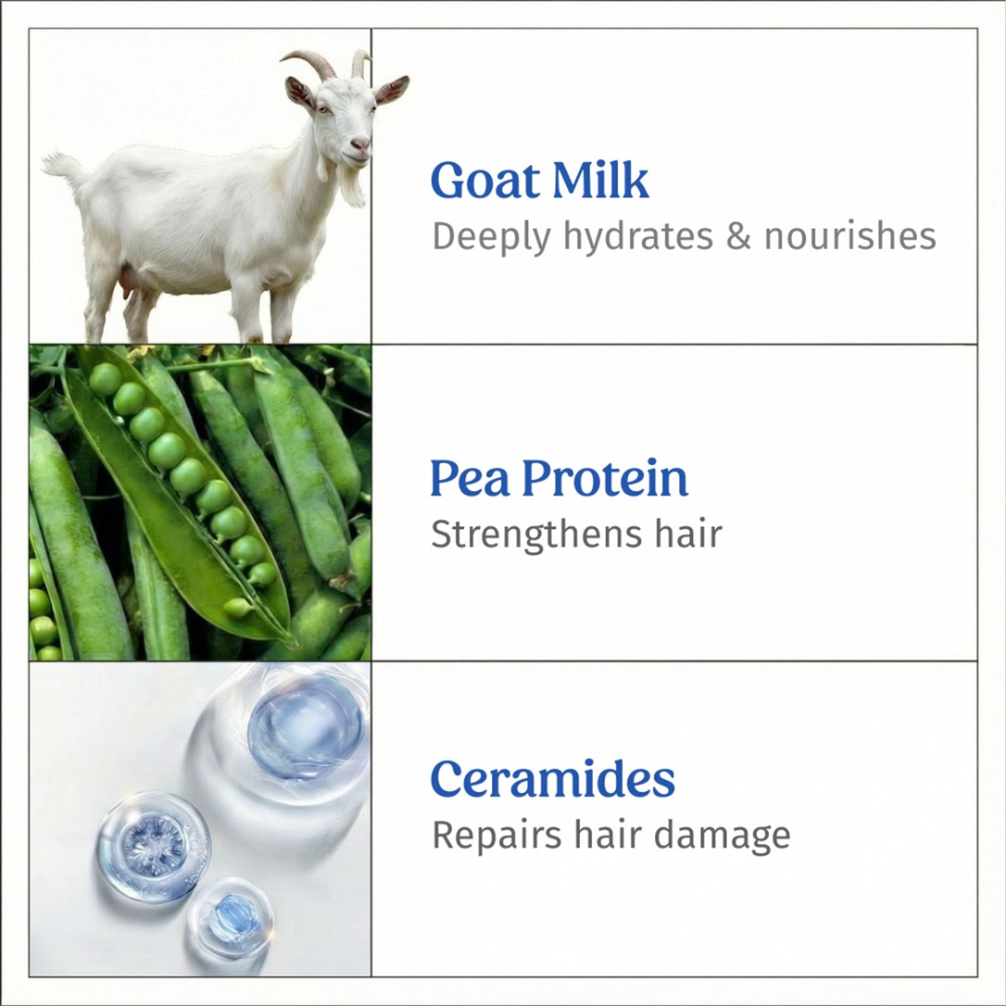 Vilvah Goat Milk Shampoo Strengthens Roots, Frizz Control & Balances Scalp Ph