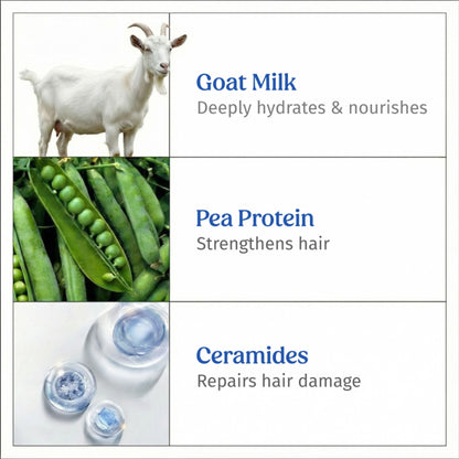 Vilvah Goat Milk Shampoo Strengthens Roots, Frizz Control & Balances Scalp Ph