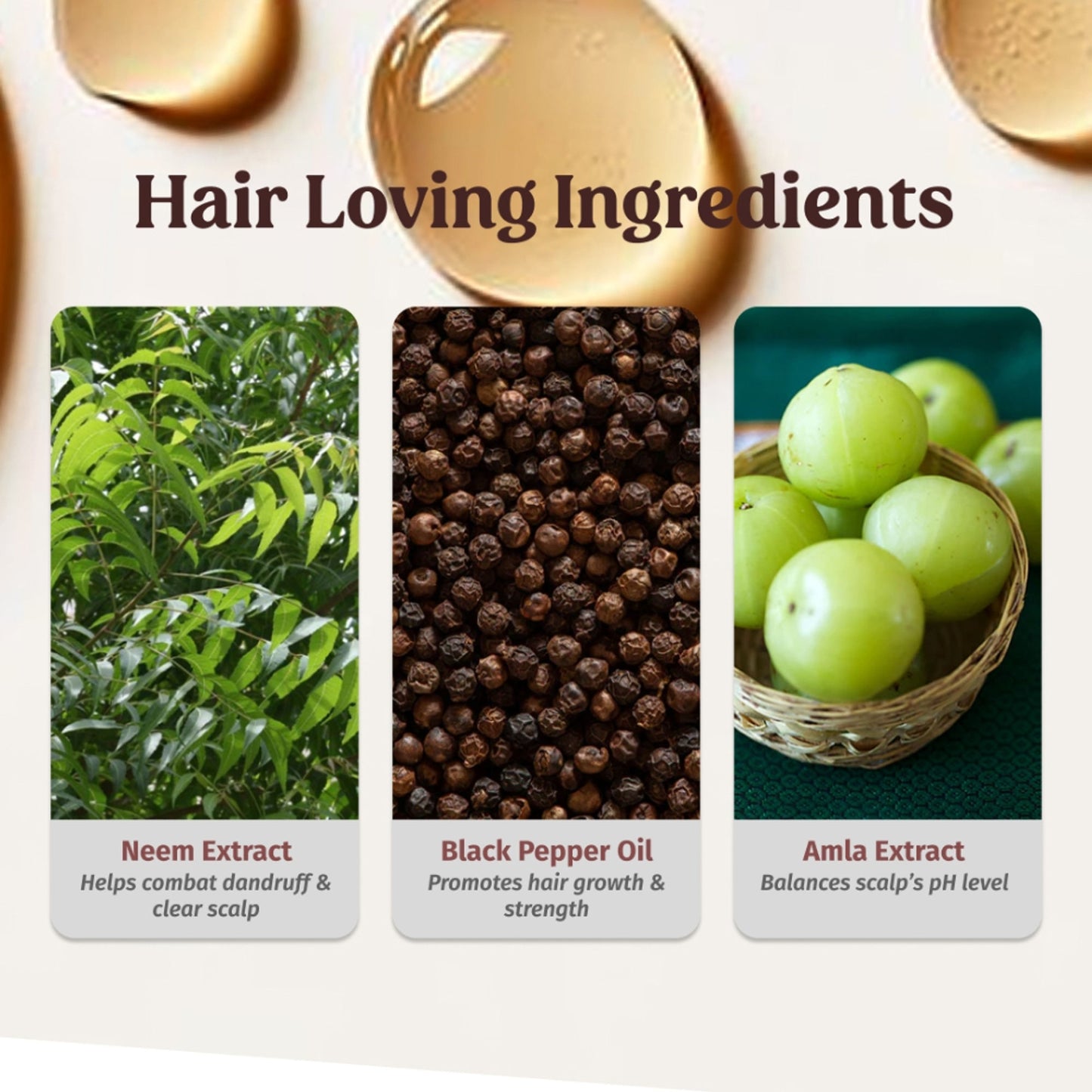 Vilvah Herbal Anti Dandruff Shampoo With Neem, Black Pepper & Amla For Dandruff & Itch Control