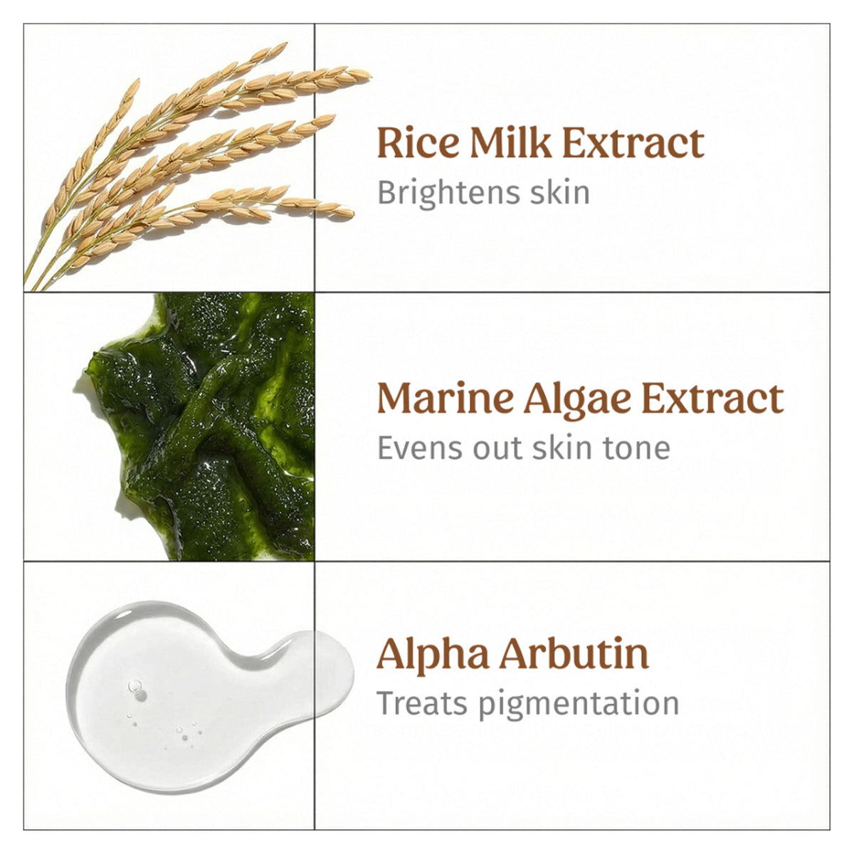 VILVAH Milk Drops Skin Brightening Serum With Rice Milk, Marine Algae Extract & Alpha-Arbutin
