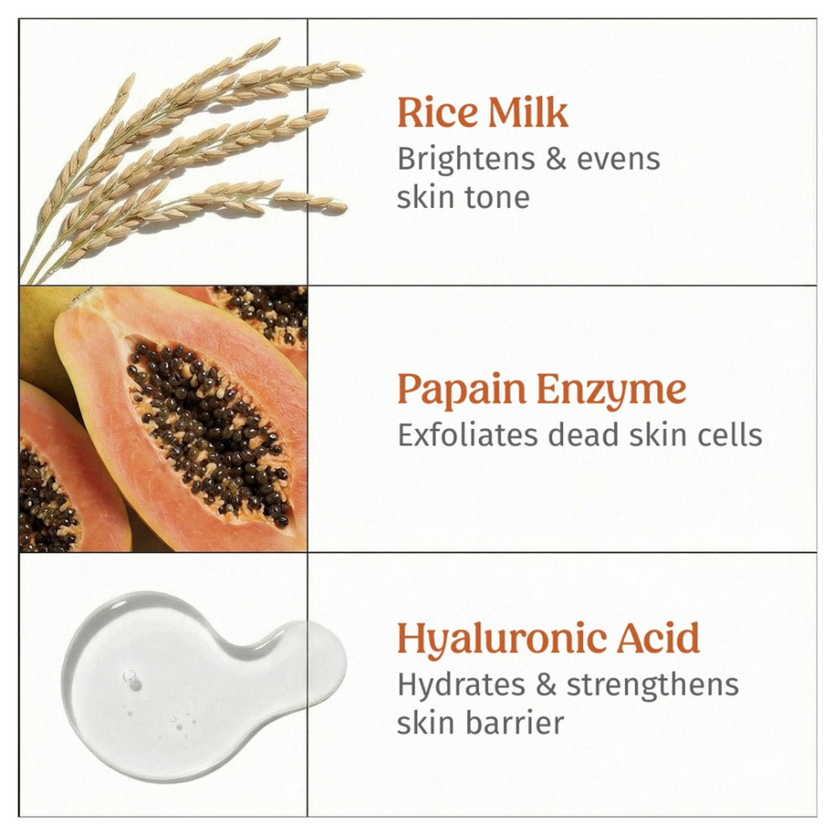 Vilvah Milk Powder Face Wash For Deep Cleansing With Rice Milk, Papain Enzymes & Hyaluronic Acid