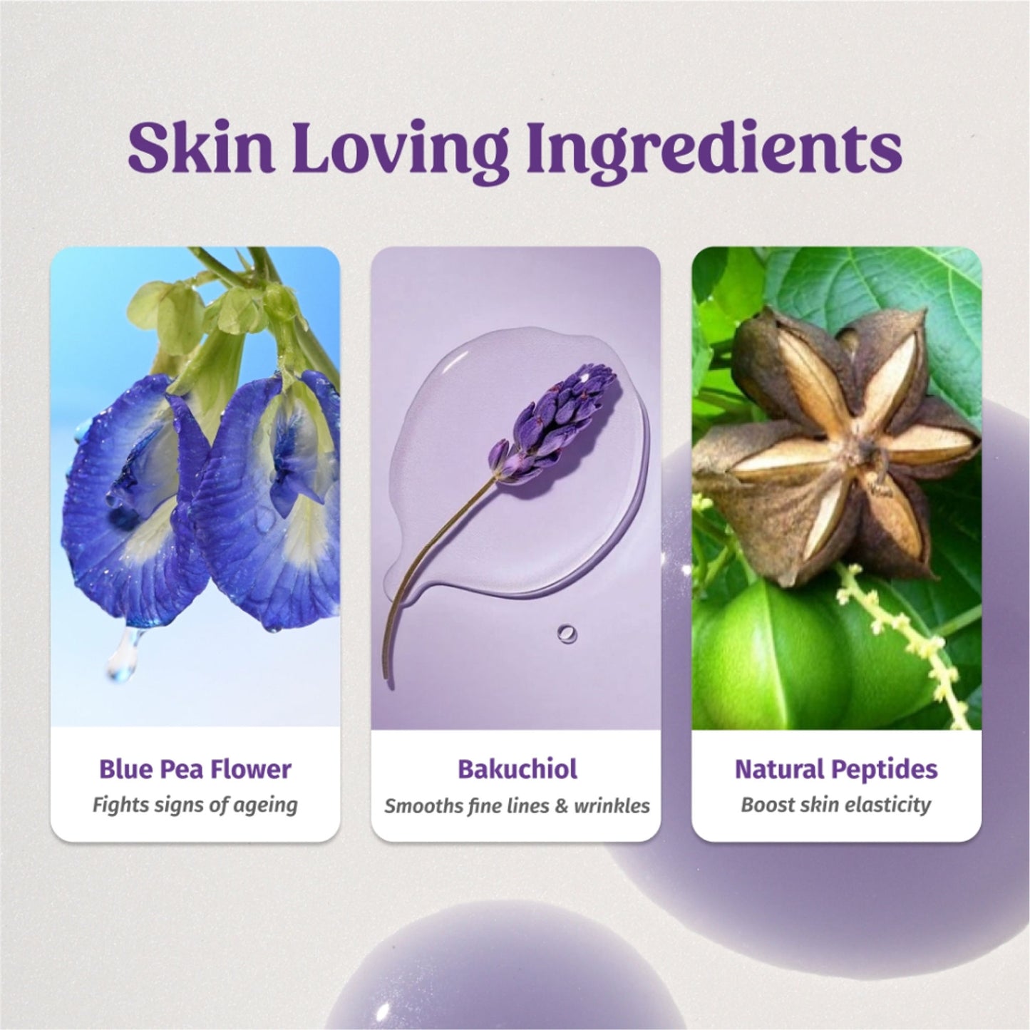 VILVAH Better Ageing Overnight Serum with BluePea Flower Extract, Bakuchiol, Ceramides & Peptides