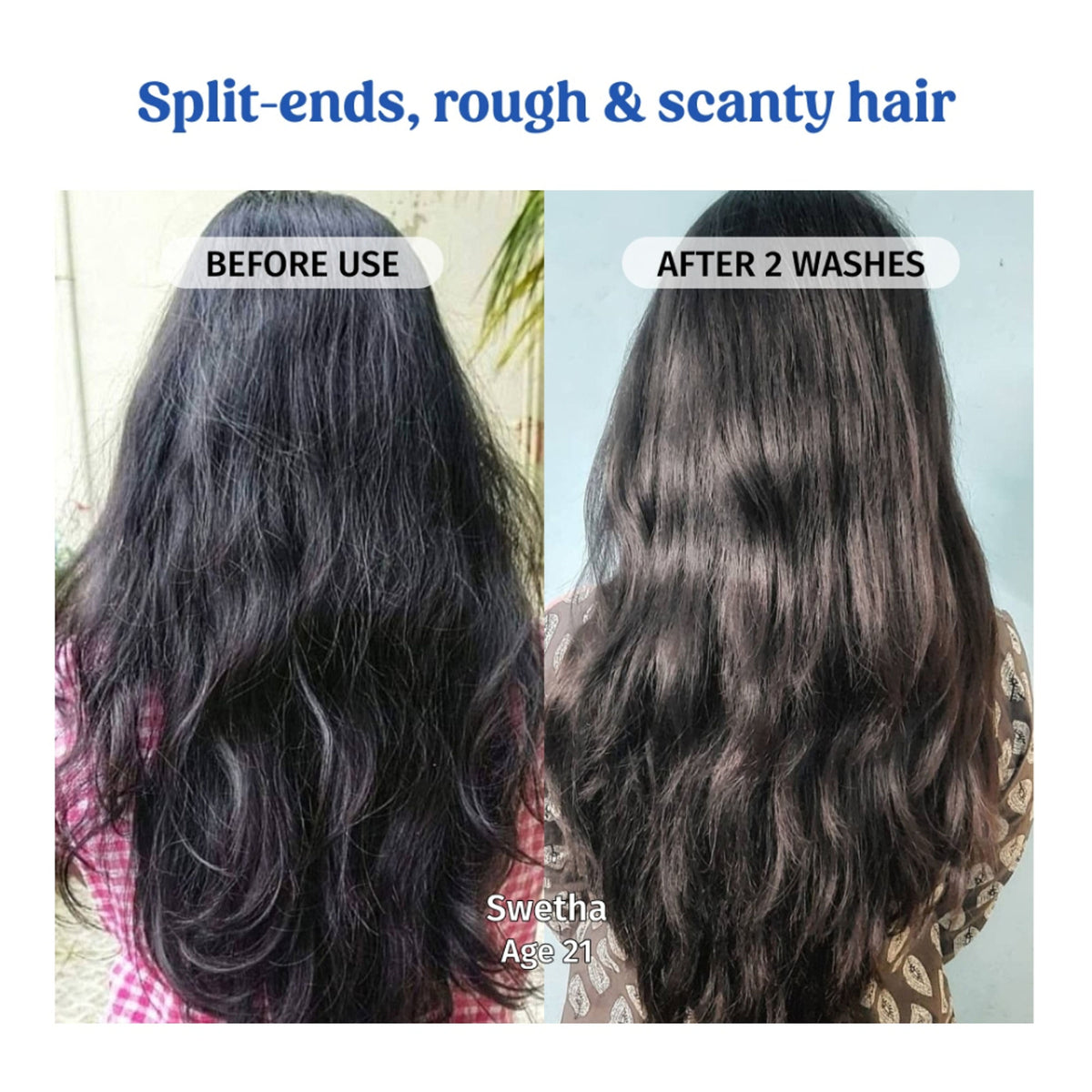 Vilvah Goat Milk Shampoo Combats Frizz, Repairs Damage & Strengthens Roots With Pea Protein