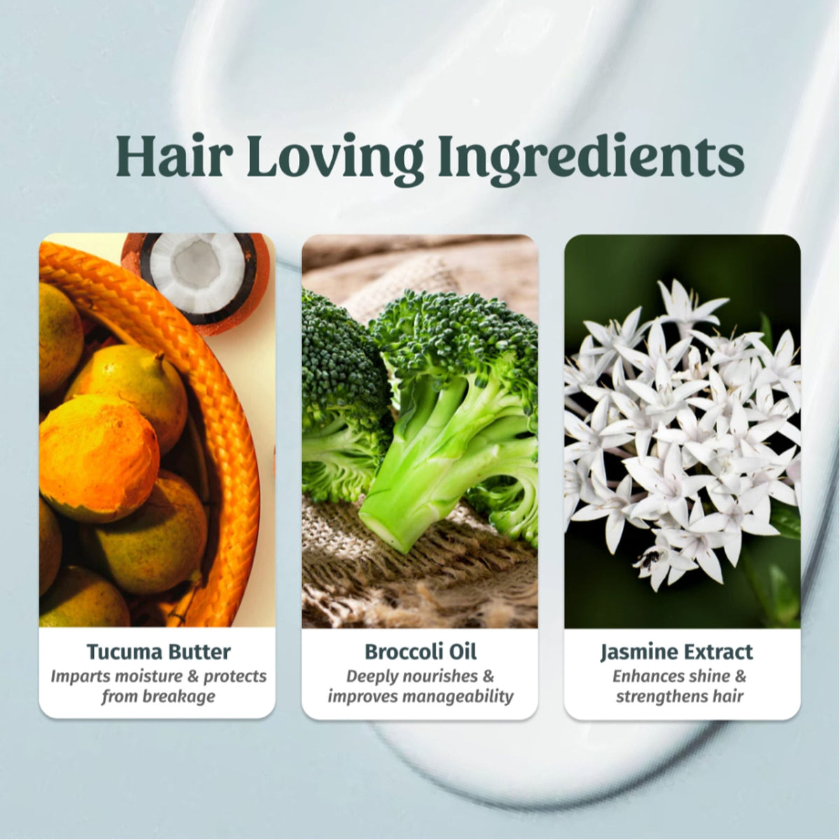 Vilvah Cream Conditioner Reduces Frizz, Softens Hair & Deeply Conditions With Tucuma & Broccoli Oil