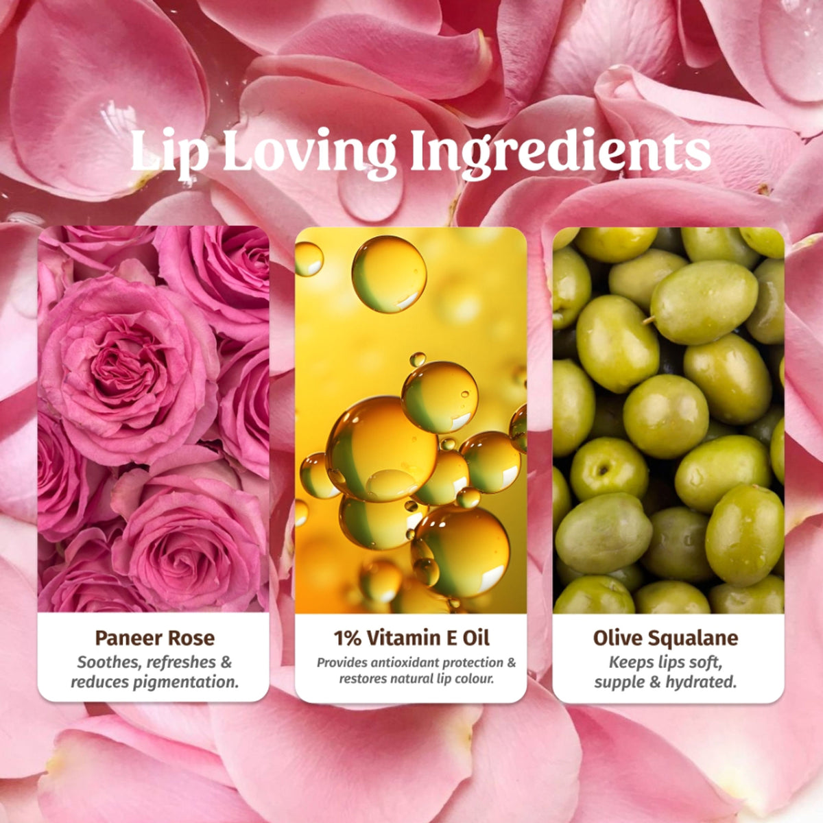Vilvah Rose Milk Lip Balm With Pink Tint & Enriched With Rose Petals, Vitamin E & Olive Squalane