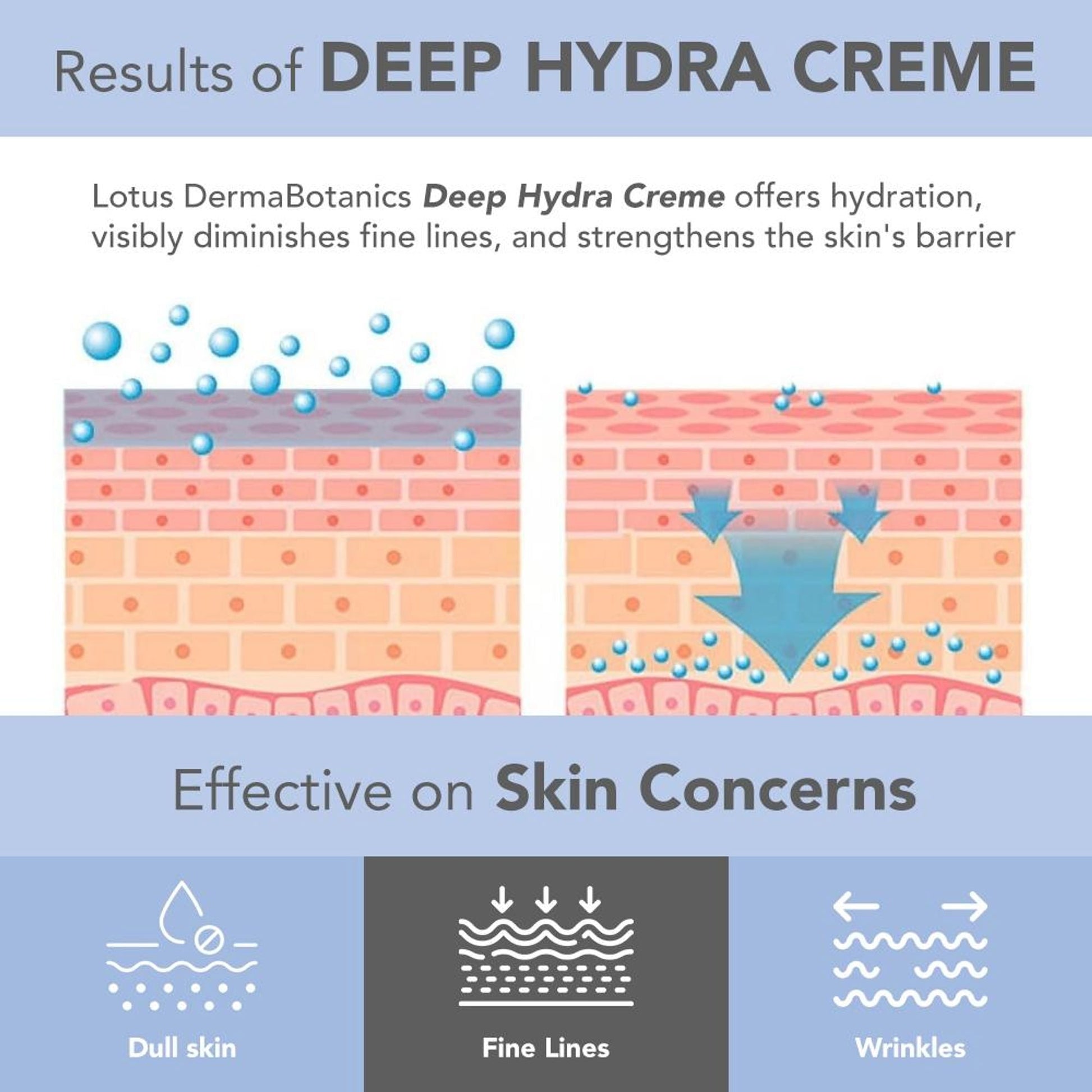 Lotus DermaBotanics Peptide + Papaya Extract Deep Hydra Creme, pH5.5, Normal to Combination Skin additional image 6