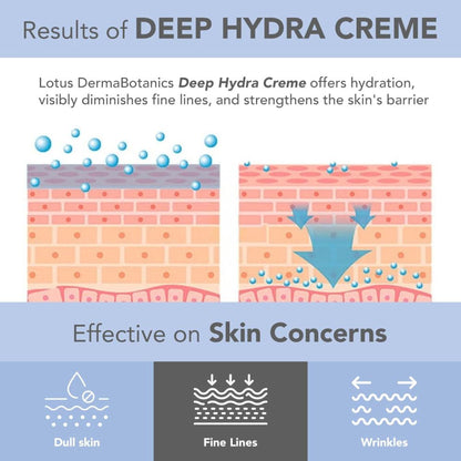 Lotus DermaBotanics Peptide + Papaya Extract Deep Hydra Creme, pH5.5, Normal to Combination Skin additional image 6
