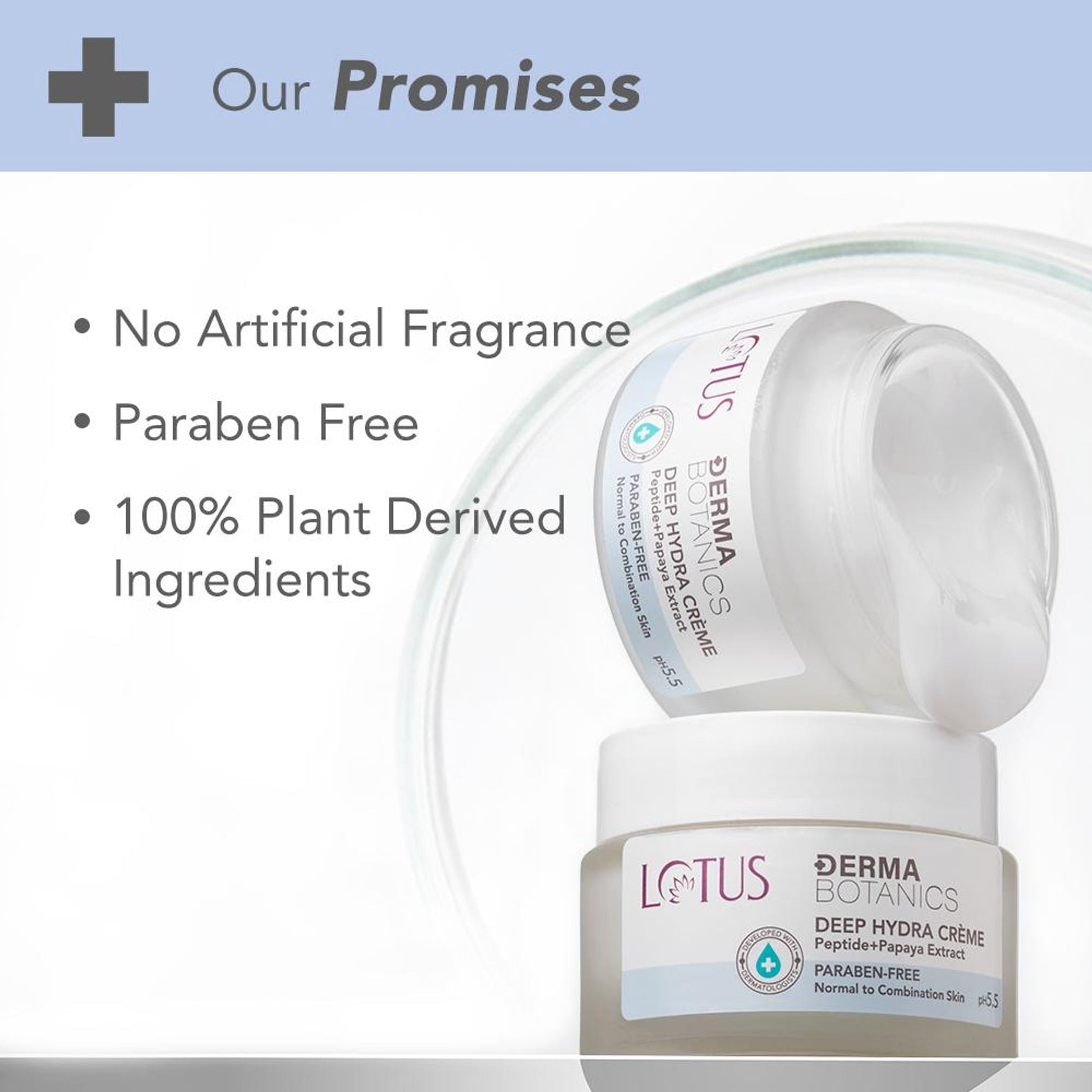 Lotus DermaBotanics Peptide + Papaya Extract Deep Hydra Creme, pH5.5, Normal to Combination Skin additional image 7