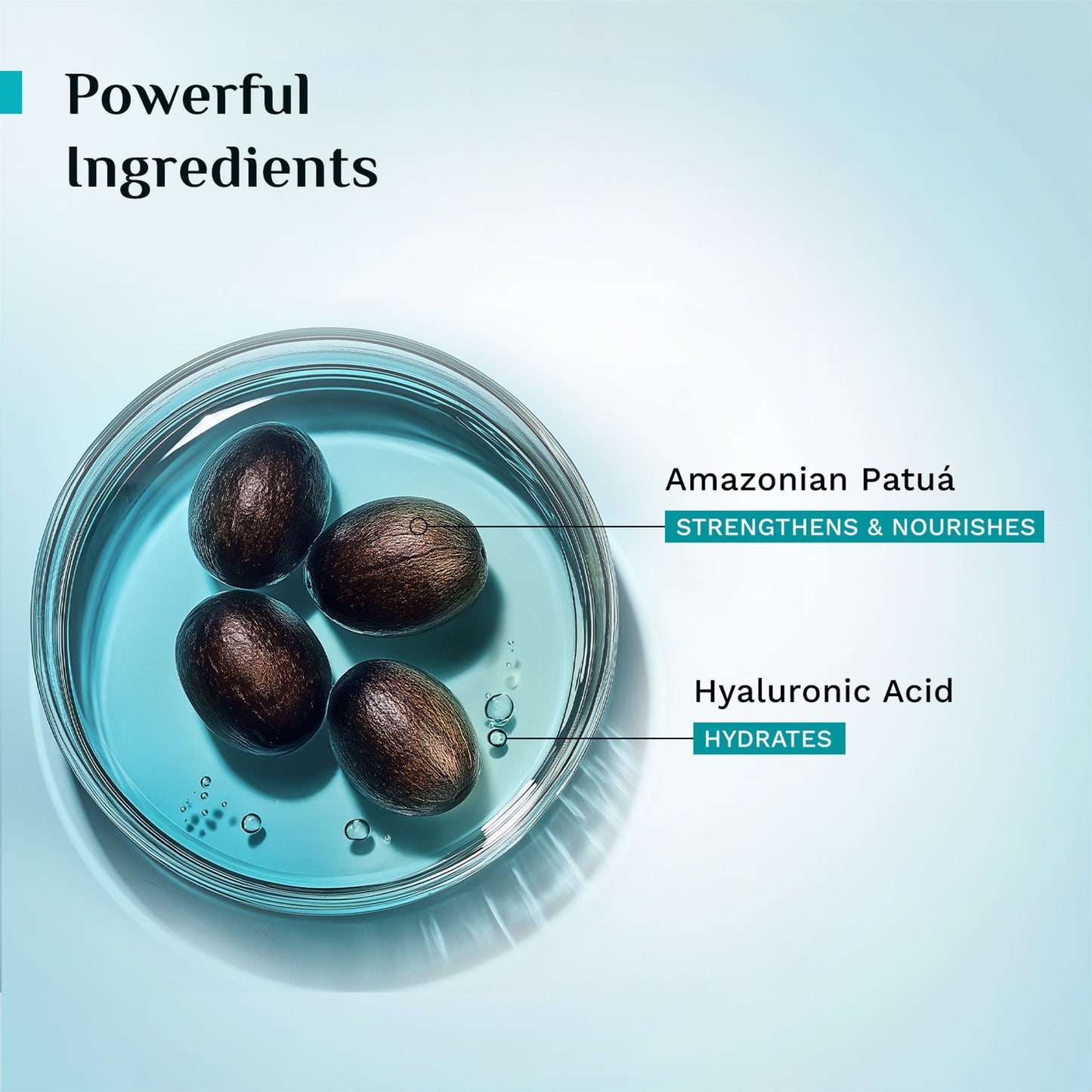 Pilgrim Patua & Hyaluronic Acid Smoothing Hair Serum for Dry & Frizzy Hair