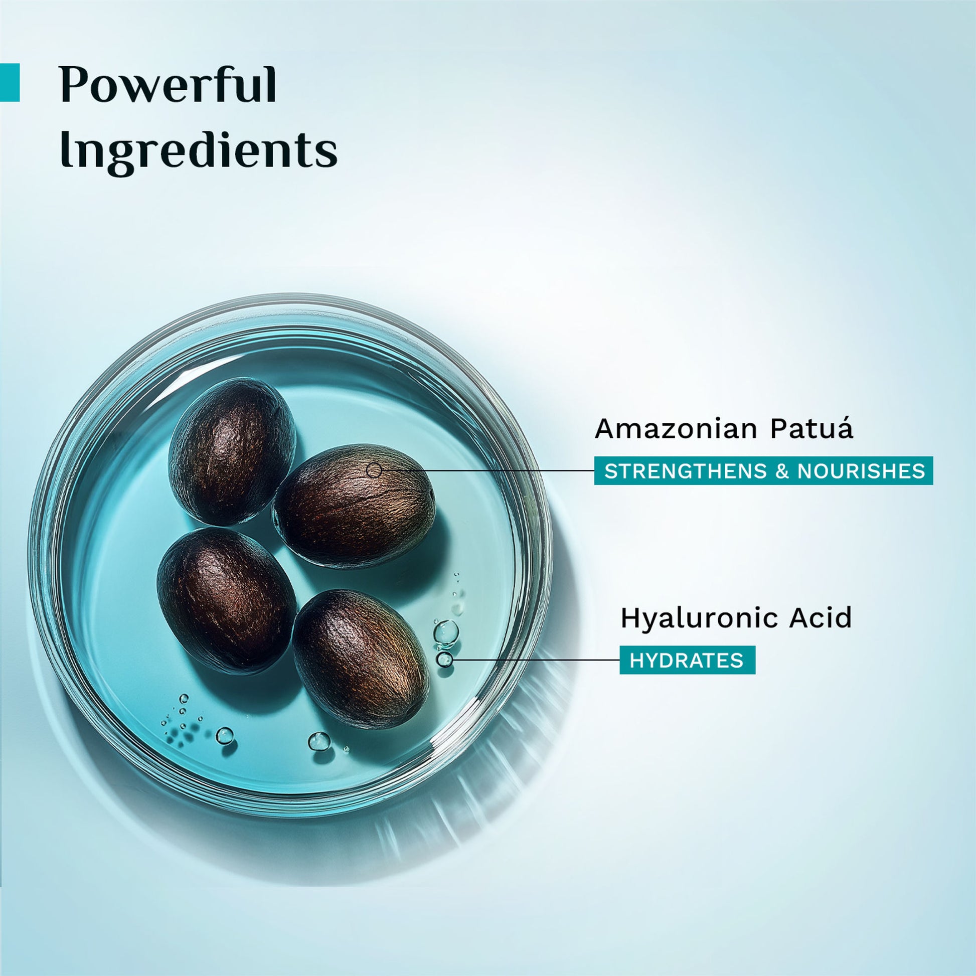 Pilgrim Patua & Hyaluronic Acid Smoothing Hair Serum for Dry & Frizzy Hair