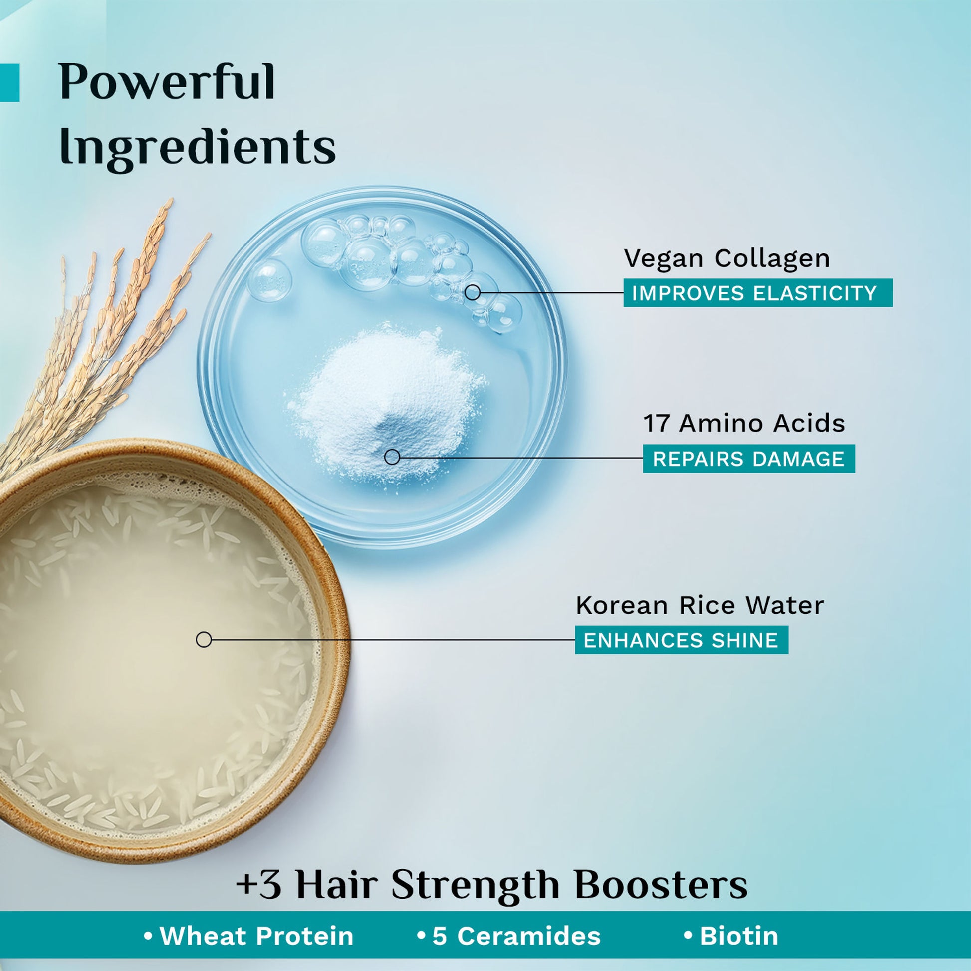 Pilgrim Korean Rice Water & Collagen Damage Repair Hair Mask Dry & Frizzy Hair Up to 20X Softer Hair