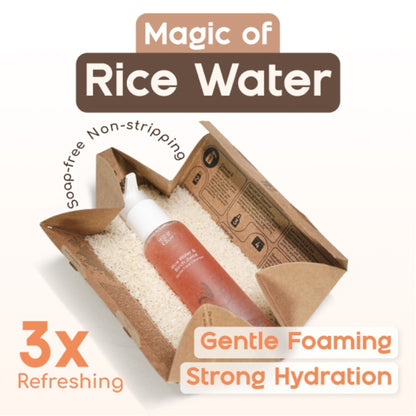 Beyond Rice Gentle Face Cleanser with rice water and birch juice, showing the product bottle and natural ingredients.
