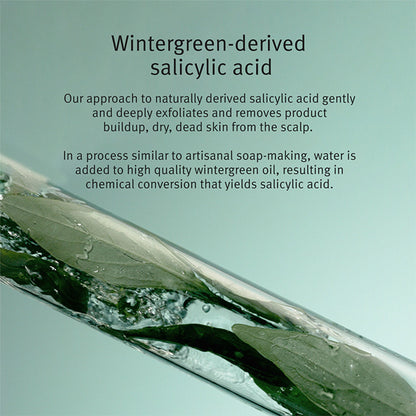 Aveda Scalp Solutions Exfoliating Scalp Treatment with Salicylic Acid for Oily Scalp