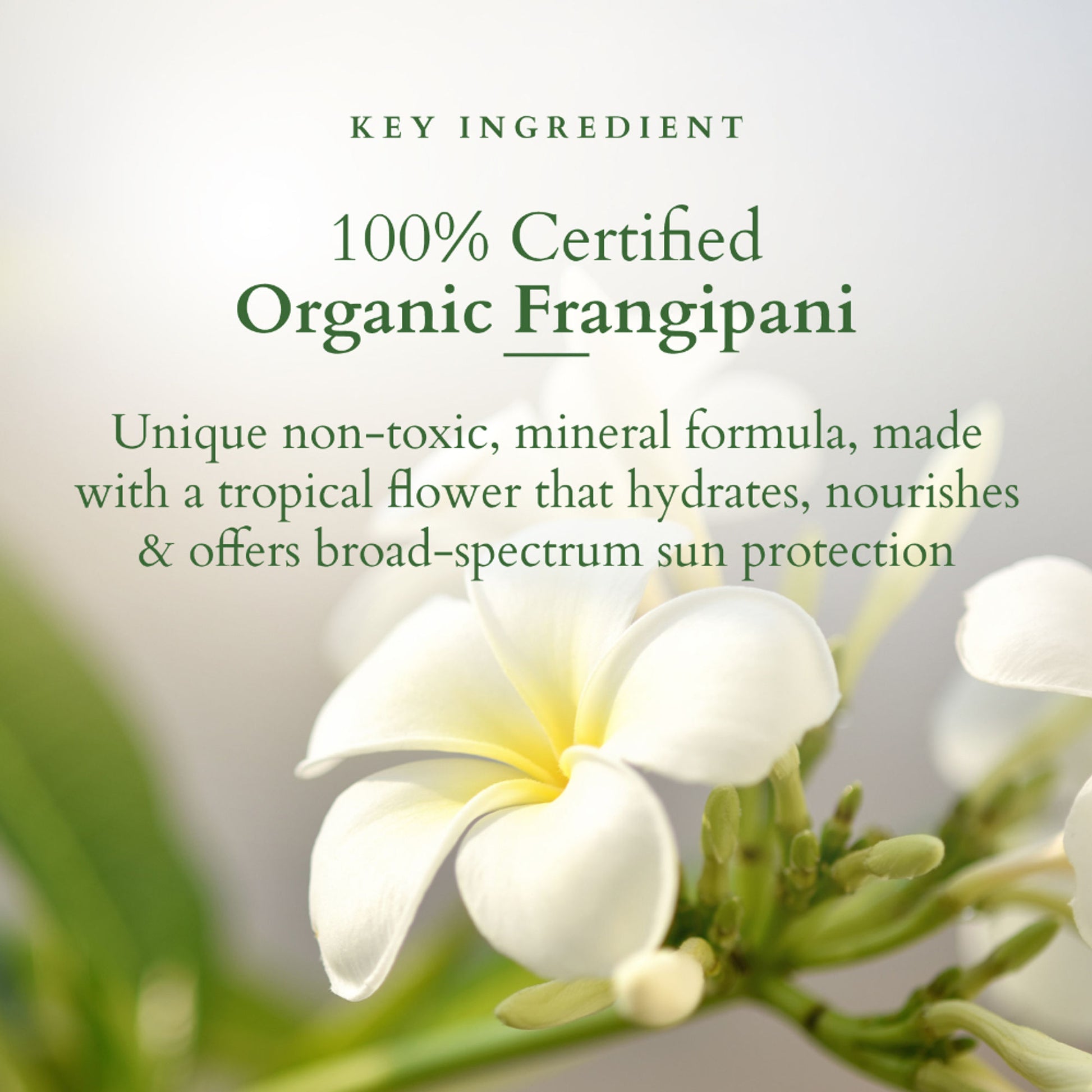 Lotus Organics Hydrating Gel Mineral Sunscreen SPF 30 PA +++